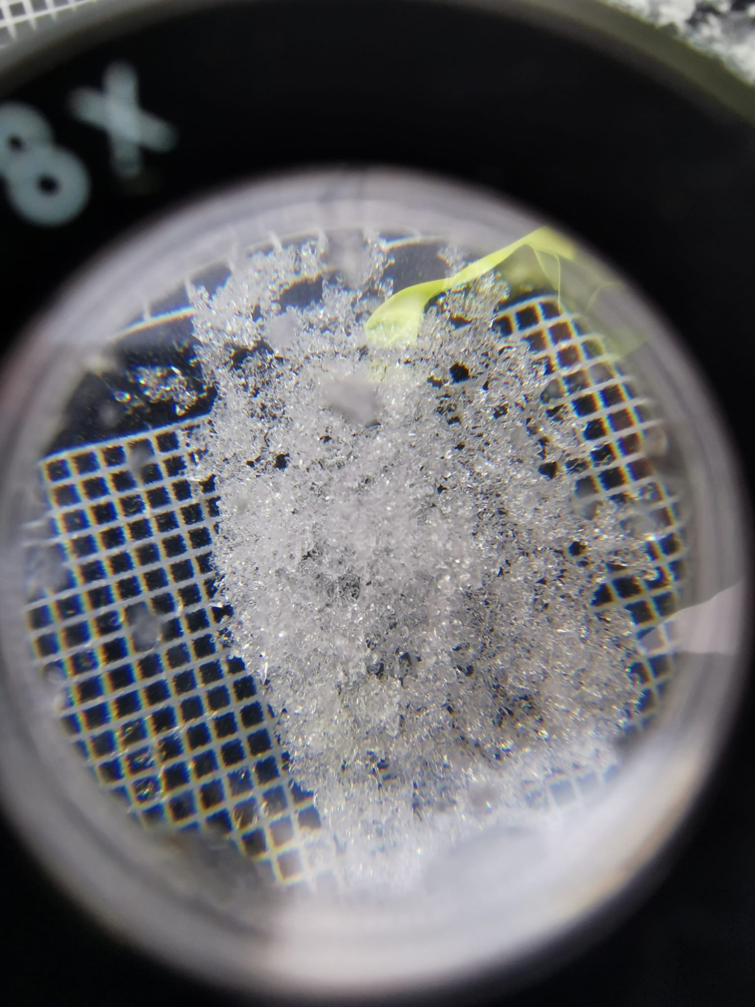  Jeden z typów śniegu widoczny pod mikroskopem